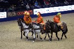Quadrille - 00108